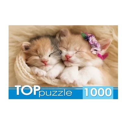 Пазл TOPpuzzle Два спящих котёнка 1000 элементов