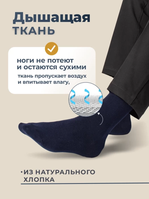 Набор мужских носков ТМ "ЦУМ" 10 пар 3 цвета