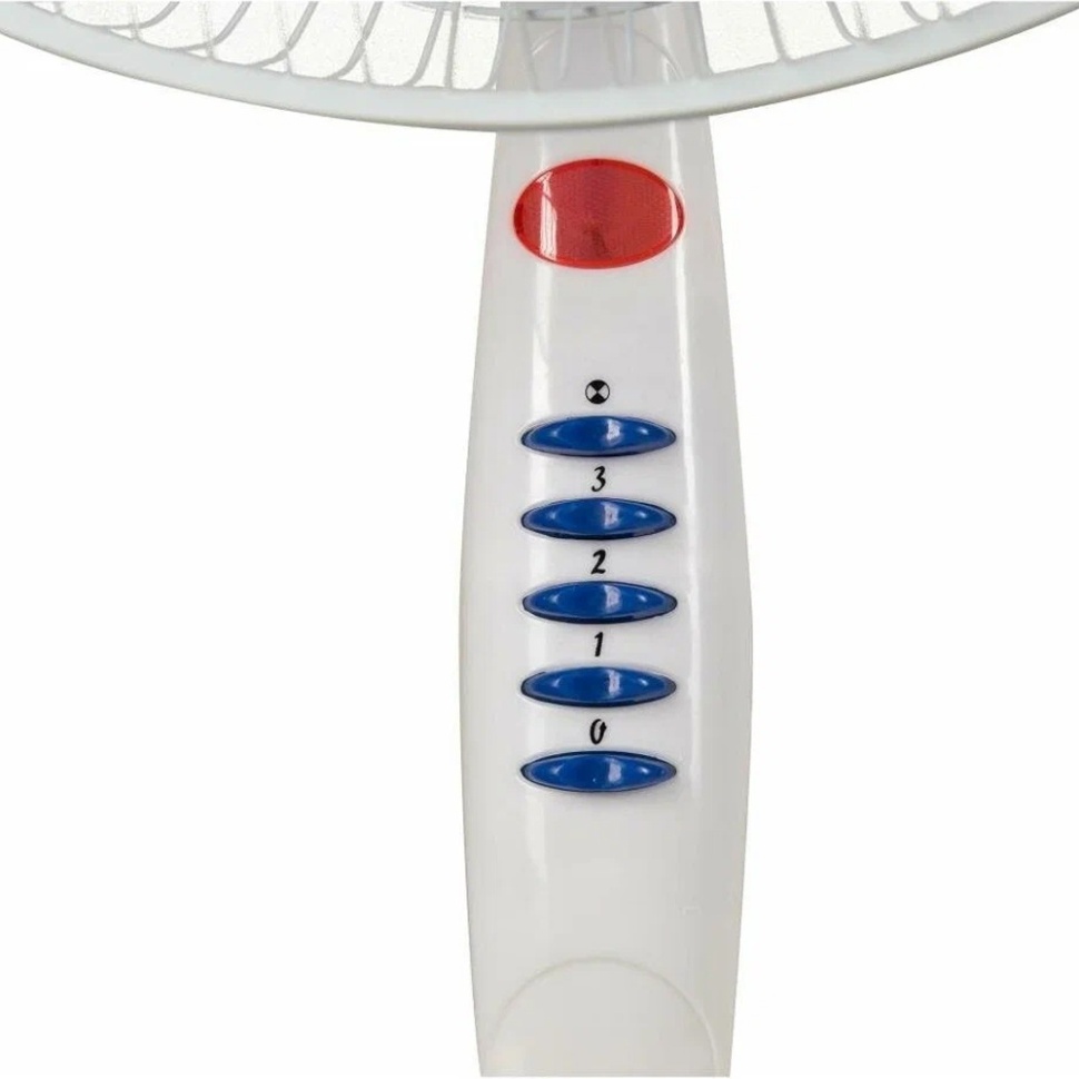 Вентилятор напольный Oasis VF-40PWB купить в интернет-магазине DISCONT.BY