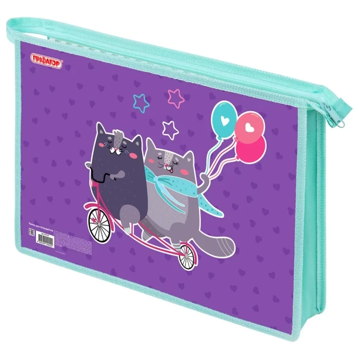 Папка для тетрадей А4 Пифагор 272125