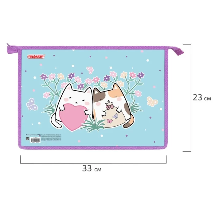 Папка А4 для тетрадей Пифагор 272127