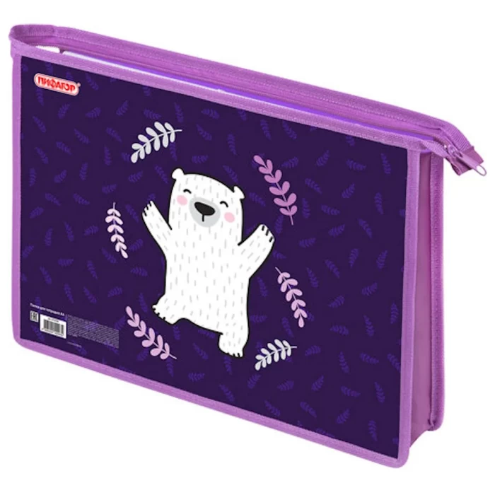 Папка А4 для тетрадей Пифагор 272126