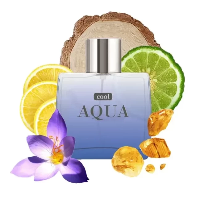 Туалетная вода Dilis Parfum Cool Aqua 100мл