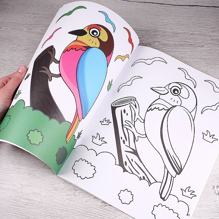 Раскраска А4 "Фауна" 8л с примером Darvish арт. DV-9341