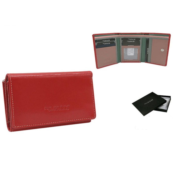 Портмоне женское Cedar 4uCAVALDI RD-17-GCL-0641 red-multi