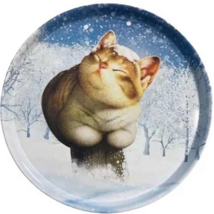 Поднос Зимний кот 33см