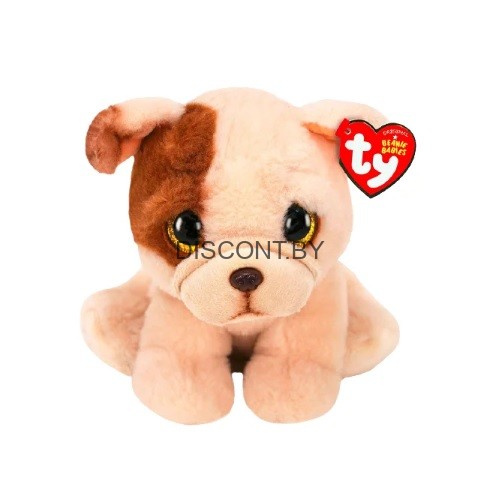 Pug cheap beanie boo