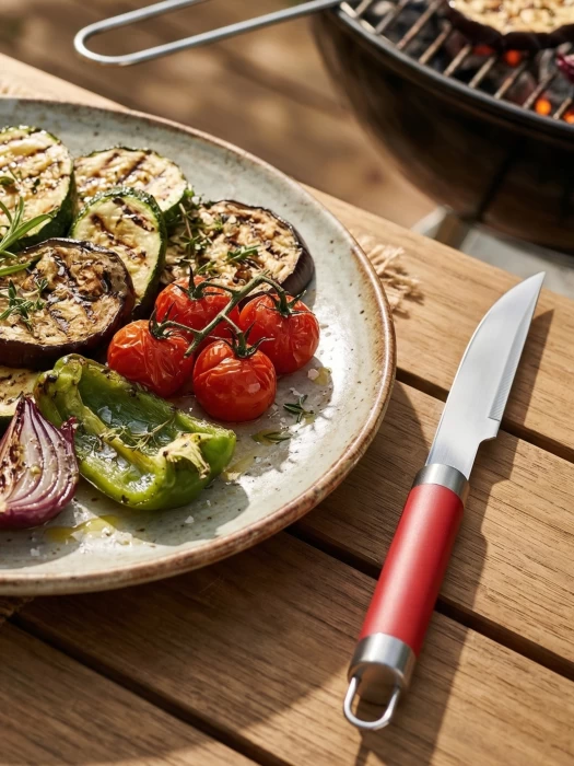 Набор для барбекю арт. AFG11094-019