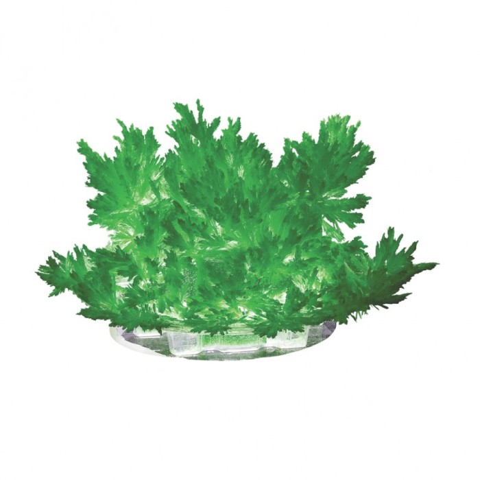 Набор "Лучистые кристаллы" Lori арт. Лк-003