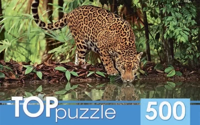 Пазл TOPpuzzle &quot;Ягуар на водопое&quot; 500 элементов