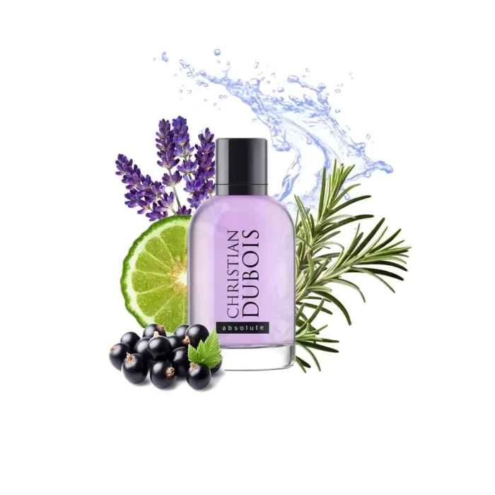 Туалетная вода Dilis Parfum Christian Dubois Absolute for Men 100мл