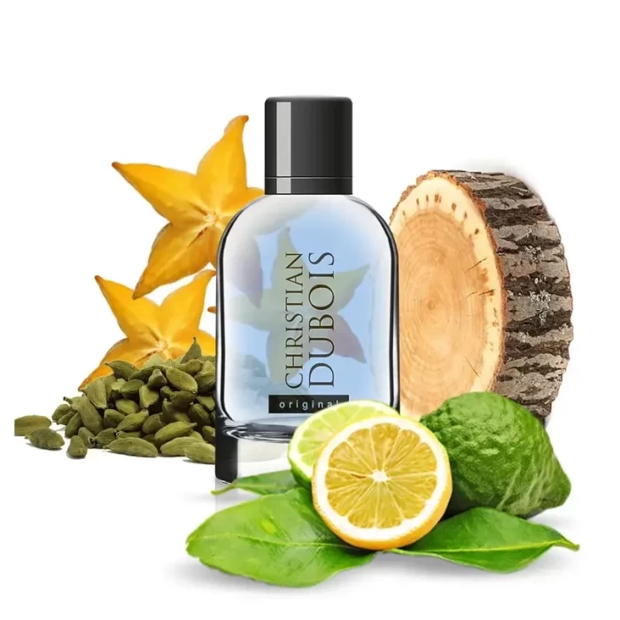 Туалетная вода Dilis Parfum Christian Dubois Original 100мл