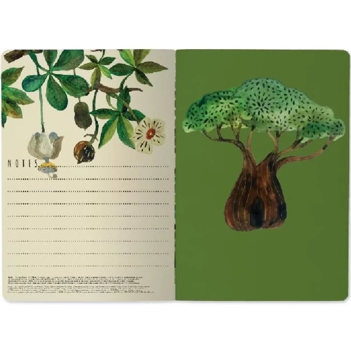 Тетрадь общая Bruno Visconti Баобаб 40л
